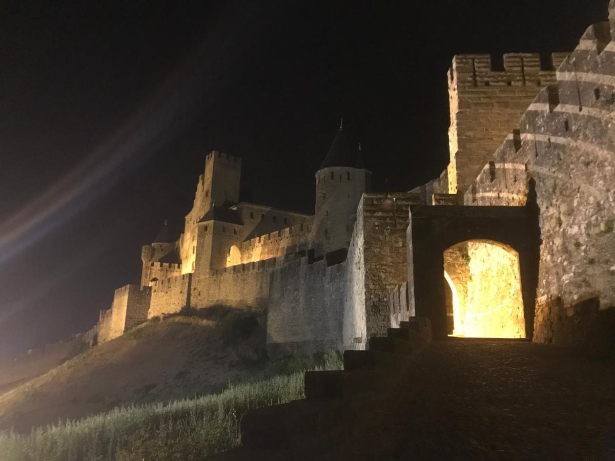Le Clos Saint Michel Carcassone Exterior photo