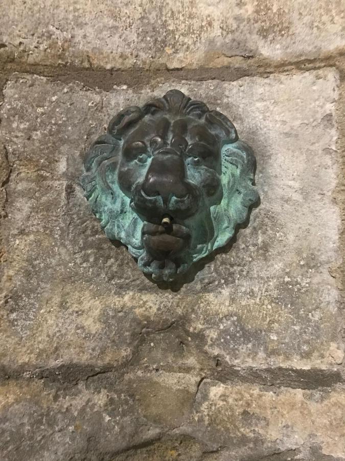 Le Clos Saint Michel Carcassone Exterior photo
