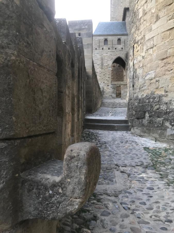 Le Clos Saint Michel Carcassone Exterior photo